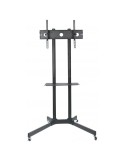 Carrello porta televisione per LCD da 30 a 65 pollici Wilson6