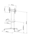 Carrello porta televisione per LCD da 30 a 65 pollici Wilson6