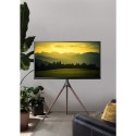 Treppiedi porta TV grandi dimensioni con staffa girevole Dandy