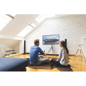 Treppiedi porta TV grandi dimensioni con staffa girevole Dandy 2