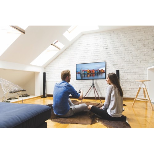 Treppiedi porta TV grandi dimensioni con staffa girevole Dandy