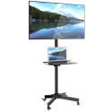 Supporto su ruote per TV LCD/LED/PLASMA da 23 a 55 pollici Wilson3