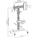 Carrello porta televisione con ruote regolabile per TV da 32" - 65" Rolling