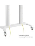 Carrello porta TV da 70 a 120 pollici Kimmy Big