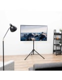 Treppiedi porta TV portatile Morris7