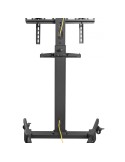 Carrello TV LCD/LED/PLASMA da 32 a 55 pollici Dribbling