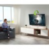 Braccio porta TV orientabile da 23 a 55 pollici Brax2
